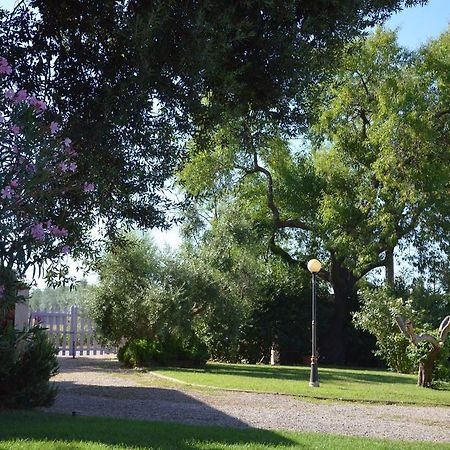 Agriturismo Masseto Hotel Campiglia Marittima Exterior foto