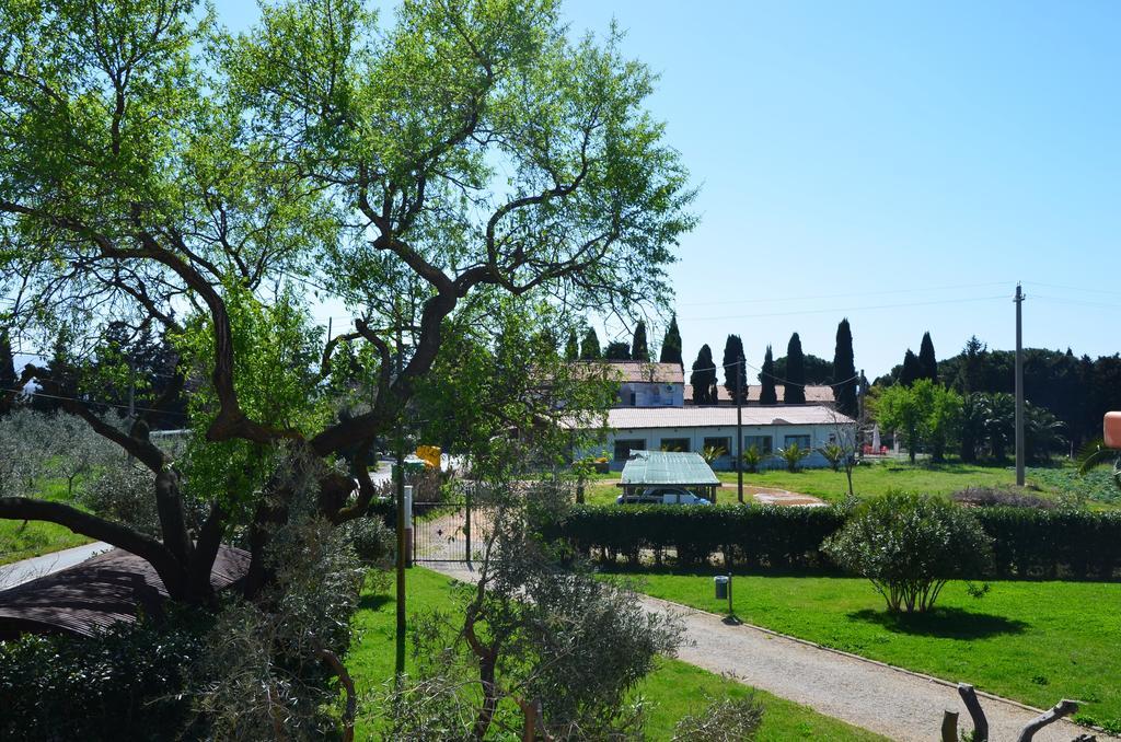 Agriturismo Masseto Hotel Campiglia Marittima Cameră foto